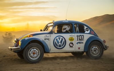 Фольксваген, Баха 1000, Ралли, Гонка, 2017, Volkswagen, Beetles, Baja 1000, Desert race